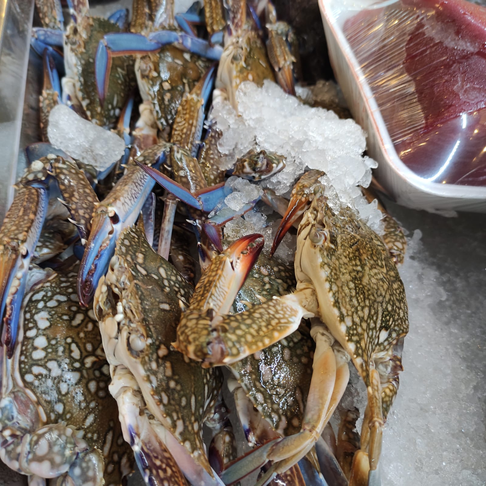 WhatsApp Image 2021-08-19 at 1.53.13 PM.jpeg